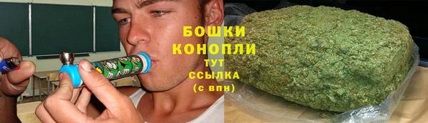 индика Снежинск