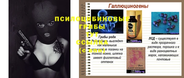 ПСИЛОЦИБИНОВЫЕ ГРИБЫ Белоозёрский