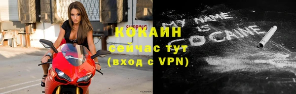 кокс Белокуриха