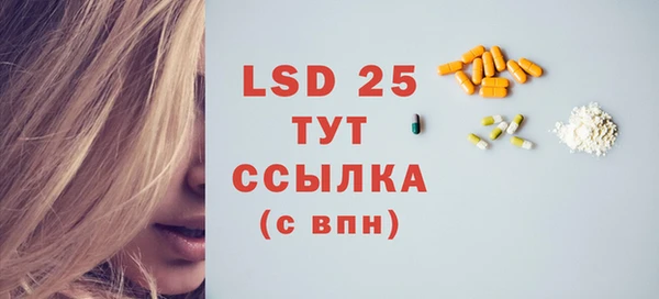 ПСИЛОЦИБИНОВЫЕ ГРИБЫ Белоозёрский