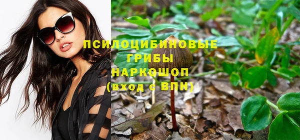 ПСИЛОЦИБИНОВЫЕ ГРИБЫ Белоозёрский