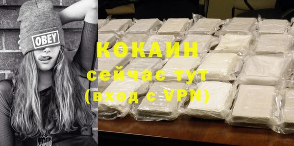 ПСИЛОЦИБИНОВЫЕ ГРИБЫ Белоозёрский