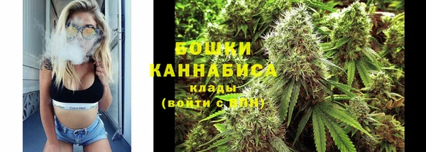 ПСИЛОЦИБИНОВЫЕ ГРИБЫ Белоозёрский