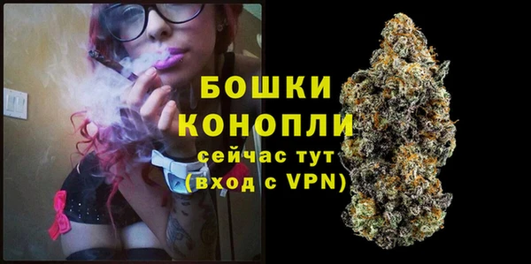 ПСИЛОЦИБИНОВЫЕ ГРИБЫ Белоозёрский