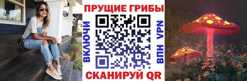 Галлюциногенные грибы прущие грибы  магазин    Верхний Тагил 